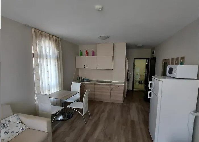 公寓 Charming In Sorrento Sole Mare 圣弗拉斯